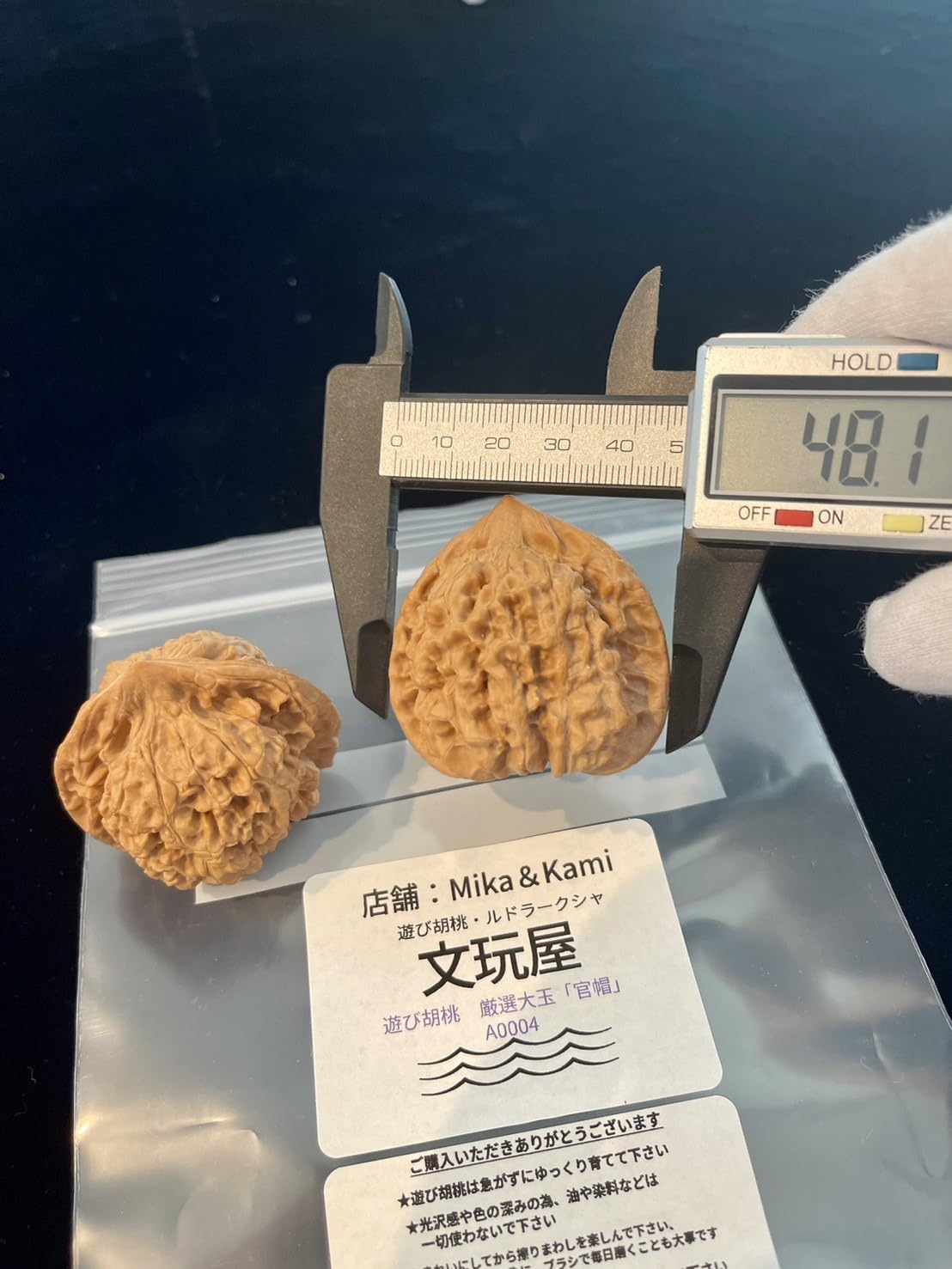 Amazon | 文玩屋 遊び胡桃 厳選大玉「官帽」A0004「手で遊び育てる